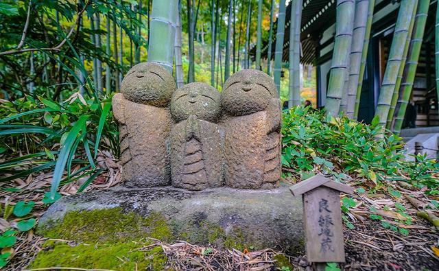 日本镰仓长谷寺庭院，到底藏有几座良缘地藏石像，你全都找到了么