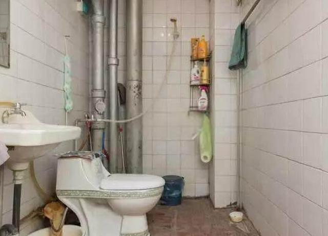 头一次见卫生间这样设计，美观又实用，再也不用和老婆抢厕所了！