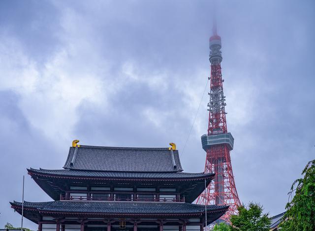 扶桑树下蝉鸣处，时有微凉不是风——行摄日本（上篇）