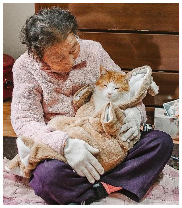 老奶奶和猫主子共度余生，画面感人，奶奶：我走后再也没人爱它了