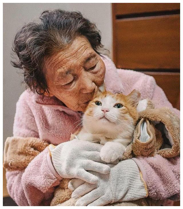 老奶奶和猫主子共度余生，画面感人，奶奶：我走后再也没人爱它了
