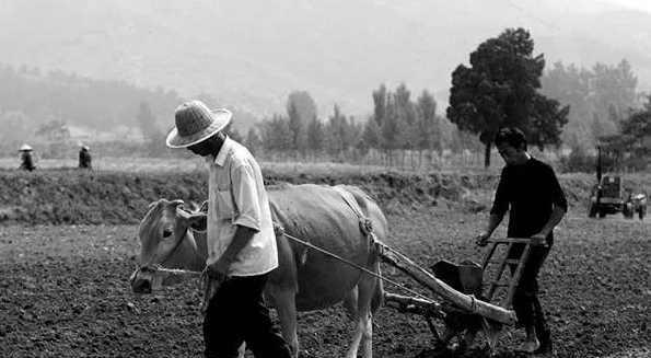 外国人拍摄的70年代中国老照片：想不到70年代的人们是这样子