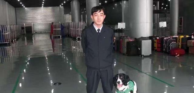 流浪狗成功逆袭！备考两月考上“公务员”成为上海口岸检疫犬！