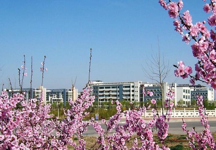 山东有望升211的大学，是省重点建设的应用研究型大学，就在济南