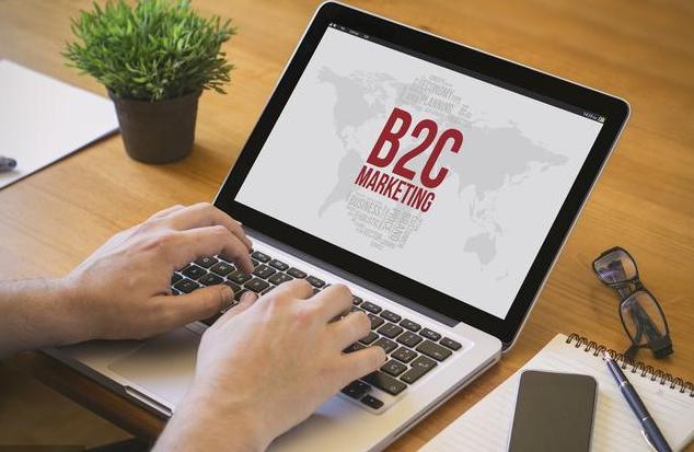 经营B2C电子商务网站企业的收益模式是怎样的呢？