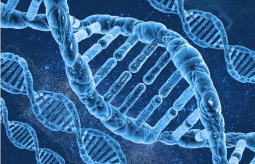 伏羲女娲图为何和人类DNA重合？人类的身世之谜，古人早已知晓？
