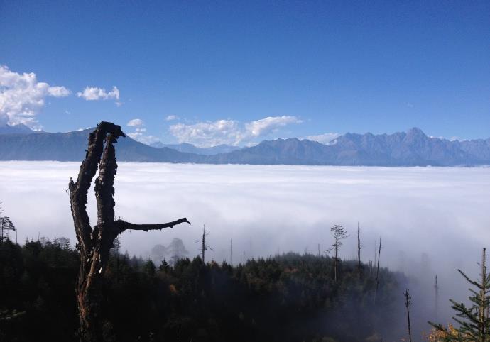 成都周边小众景点，雅安光头山，见证别样川西