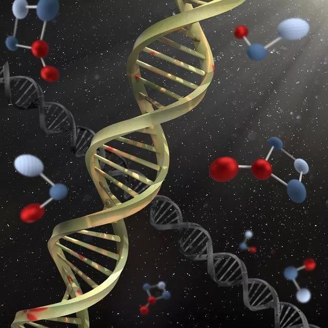 儿童视力危机十分紧迫，屈光不正的原因你知道吗？