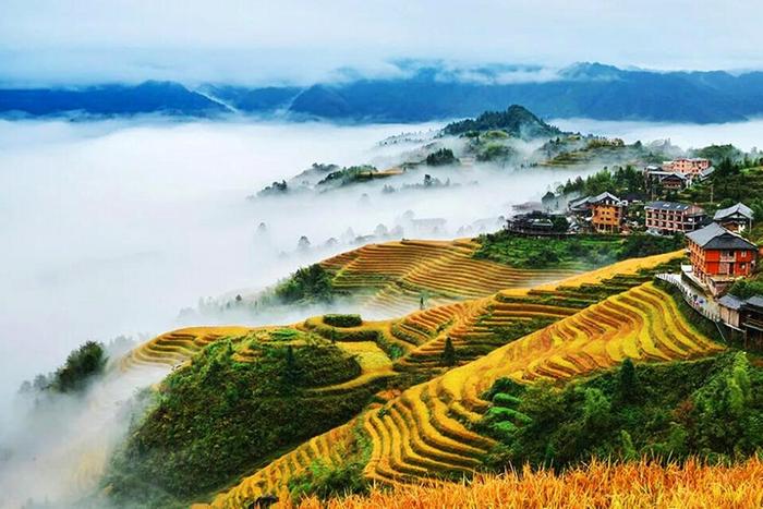 陕北高原一抹动人风景，《山坡坡上开满山丹丹花》，连载之二十六