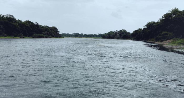 他目睹红军过湘江的惨象：下雨似的子弹与遍地的白骨