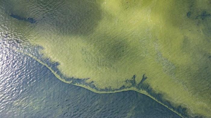 加热微生物汤：温暖的海洋可能会使蓝细菌变有益