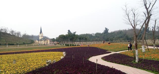 21世纪自贡市适合情人旅游的景区,你推荐哪个?