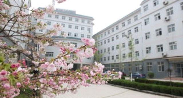 陕西省的这两个理工大学，在第四轮学科评估中可见伯仲