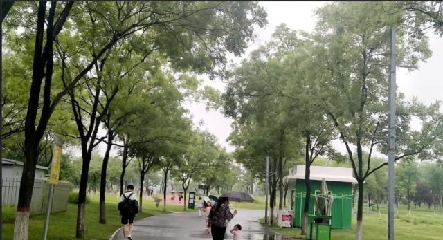 雨后，在这里邂逅江南