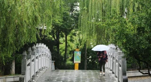 雨后，在这里邂逅江南