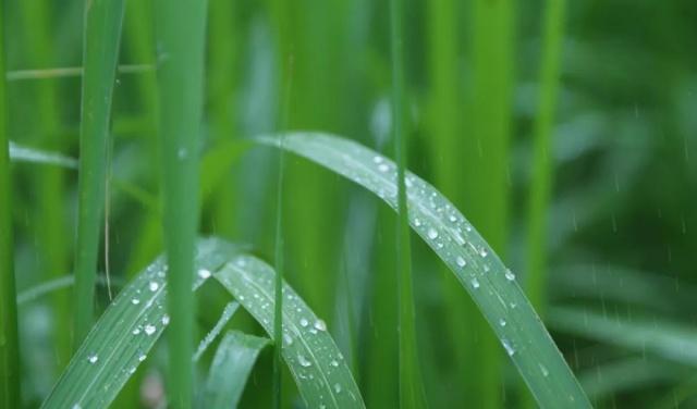 雨后，在这里邂逅江南