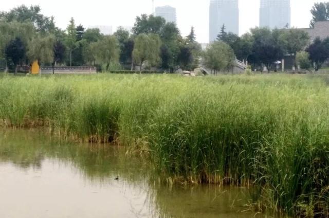 雨后，在这里邂逅江南