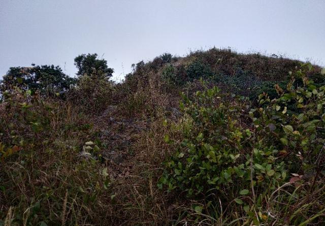 广州从化和惠州龙门交界处的桂峰山，从吕田登山口登顶才2个小时