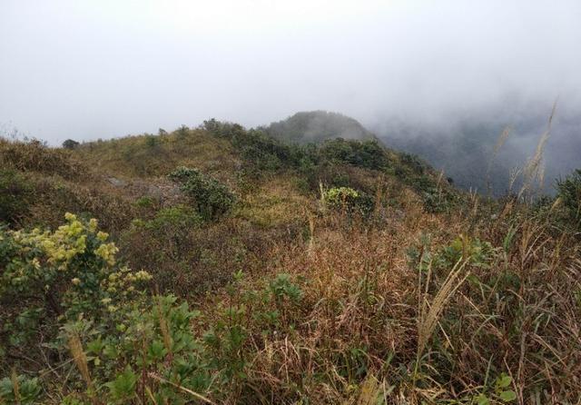 广州从化和惠州龙门交界处的桂峰山，从吕田登山口登顶才2个小时