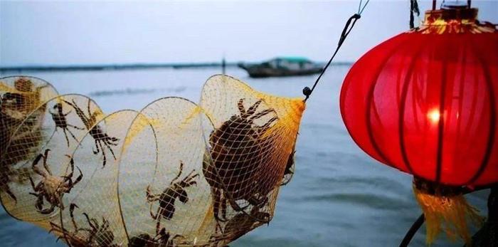 临近中秋，阳澄湖大闸蟹也将上市，为何每年都有那么多蟹可以捕？