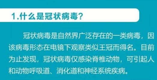 宣传手册动画介绍 如何预防新型冠状病毒肺炎