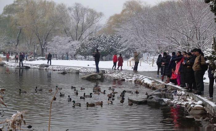 北京下雪，故宫八万张门票开门就卖完！成都的雪啥时候来啊？