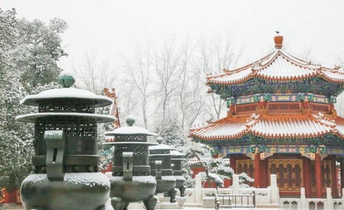 北京下雪，故宫八万张门票开门就卖完！成都的雪啥时候来啊？