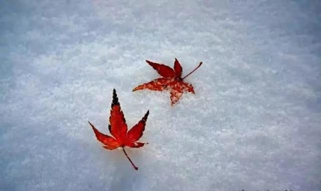 春有百花秋望月，夏有凉风冬听雪。