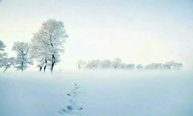 春有百花秋望月，夏有凉风冬听雪。