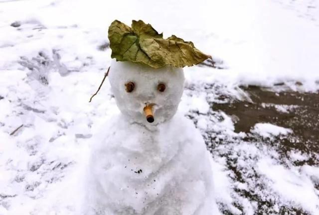 春有百花秋望月，夏有凉风冬听雪。