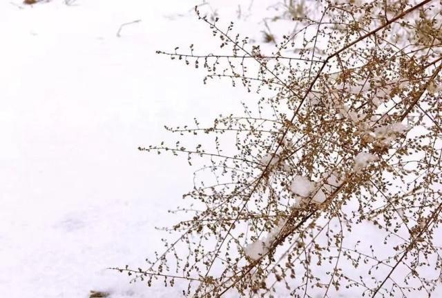 春有百花秋望月，夏有凉风冬听雪。