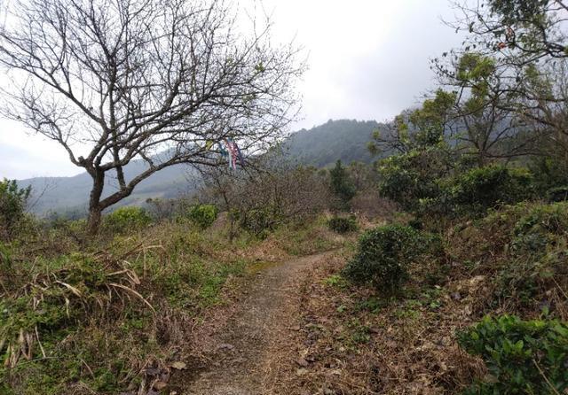 广州从化和惠州龙门交界处的桂峰山，从吕田登山口登顶才2个小时