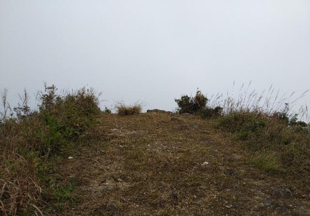 广州从化和惠州龙门交界处的桂峰山，从吕田登山口登顶才2个小时