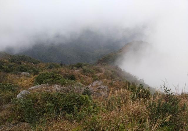 广州从化和惠州龙门交界处的桂峰山，从吕田登山口登顶才2个小时