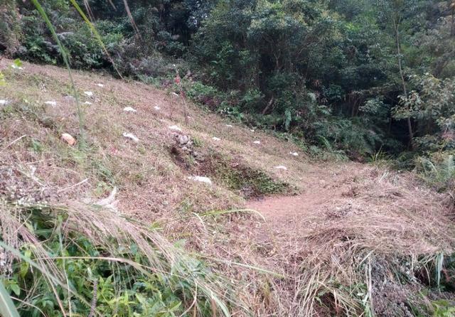 广州从化和惠州龙门交界处的桂峰山，从吕田登山口登顶才2个小时