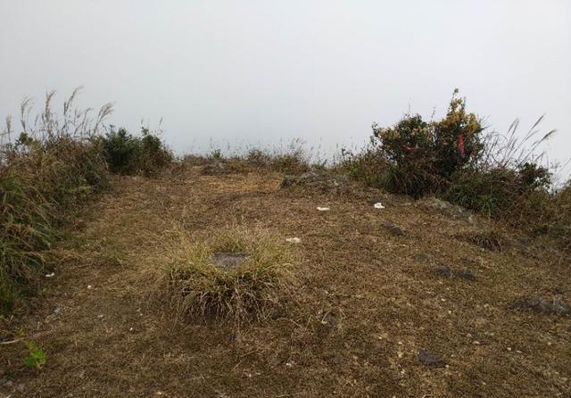 广州从化和惠州龙门交界处的桂峰山，从吕田登山口登顶才2个小时