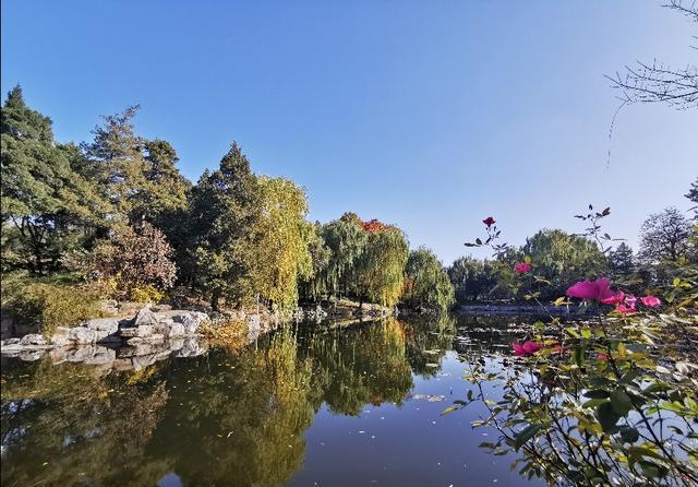 清华大学的景色太美了，水天一色，秋月春花