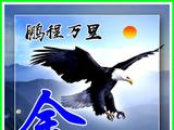 大鹏一日同风起,扶摇直上九万里,鹏程万里姓氏微信头像