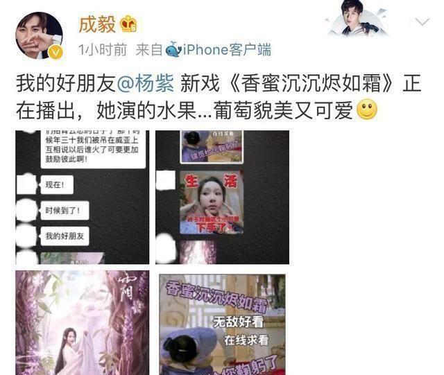 杨紫帮王大陆宣传新戏，网友：当初香蜜欠下的债还有多少没还？