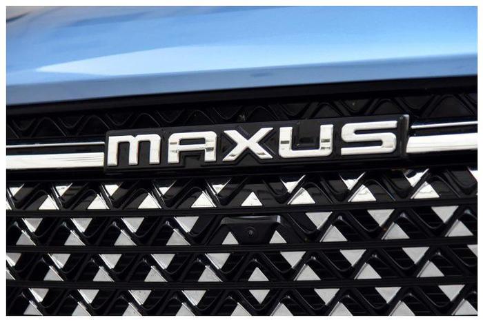 雷克萨斯郁闷了，一品牌正式更名“迈克萨斯”，9万多是中型SUV