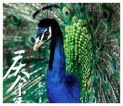 庆余年人物漫画图 庆余年动物版人物形象图简直出神入化