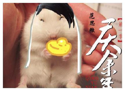庆余年人物漫画图 庆余年动物版人物形象图简直出神入化