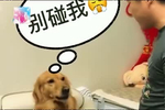 君子动口不动手:两男子起争执互吐口水后洗脸离去