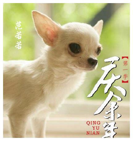 庆余年人物漫画图 庆余年动物版人物形象图简直出神入化