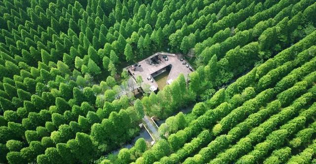 低调的江苏小城弥补了世界自然遗产的空白，还有更多美景值得一探