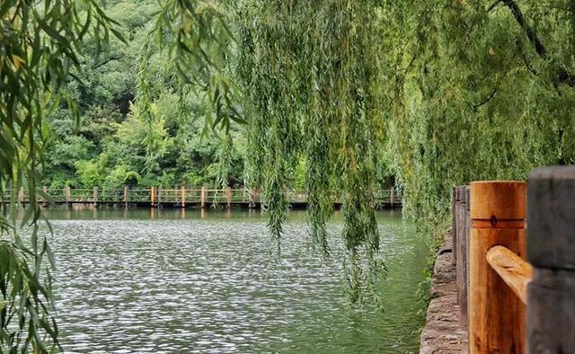 乐享清凉！济南这些夏季避暑之地，值得一去