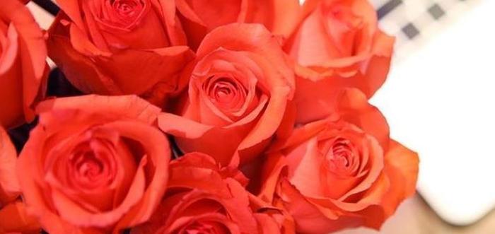 喜欢养菊，不如养“珍稀玫瑰”影星，唯美如美人，华丽梦幻好养活
