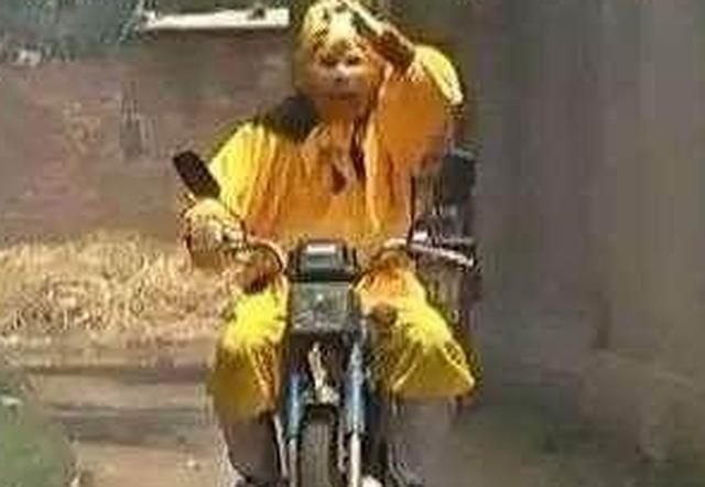 西游记中孙悟空翻不出如来佛手掌心的真正原因|如来神掌_新浪新闻