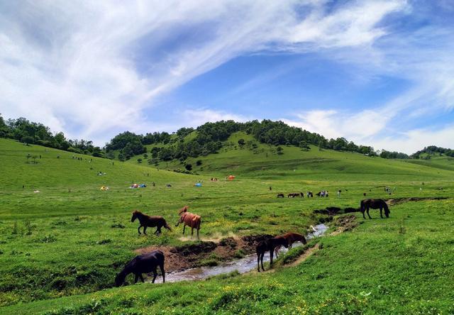 陕西夏季最舒适的地方，全年感觉不到夏季的存在，号称“小天山”