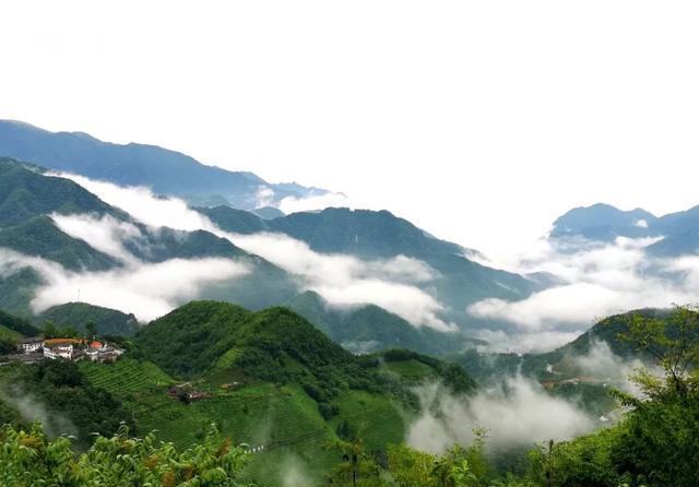 神农架旅游：木鱼镇雨后青天袍